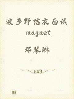 波多野结衣面试 magnet